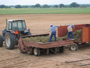 Haymakers Custom Farming